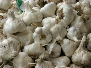 GARLIC FOR EXPORT (FOR EXPORT TO CANADA AND AMERICA)