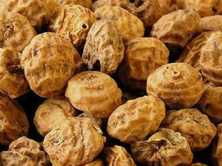 Tiger nut (FOR EXPORT TO CANADA AND AMERICA)