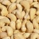 Organic Raw Mixed Nuts (FOR EXPORT TO CANADA & AMERICA)