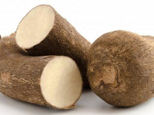 Pona yam for  (export to Canada and America)